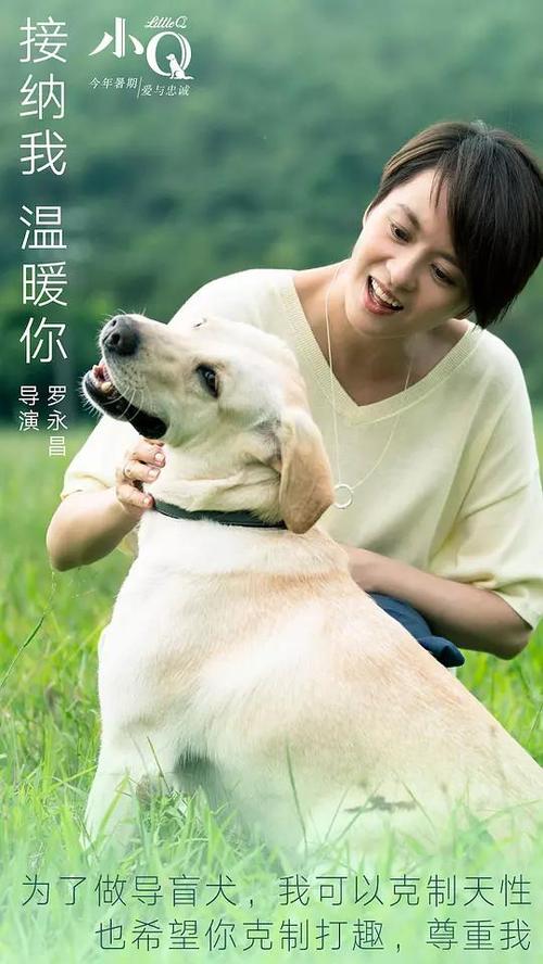 办理基尔大学毕业证成绩单